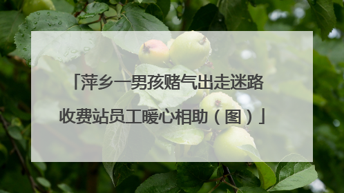 萍乡一男孩赌气出走迷路 收费站员工暖心相助（图）