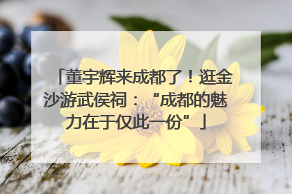 董宇辉来成都了！逛金沙游武侯祠：“成都的魅力在于仅此一份”