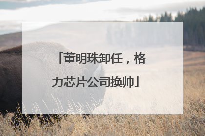 董明珠卸任，格力芯片公司换帅