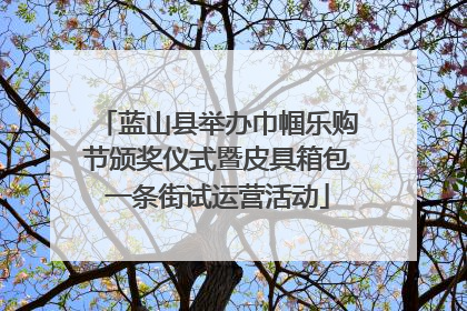 蓝山县举办巾帼乐购节颁奖仪式暨皮具箱包一条街试运营活动