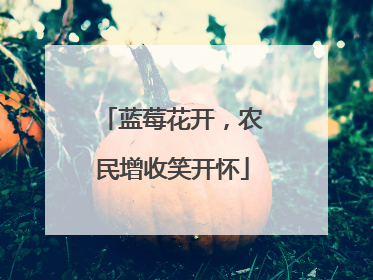 蓝莓花开，农民增收笑开怀