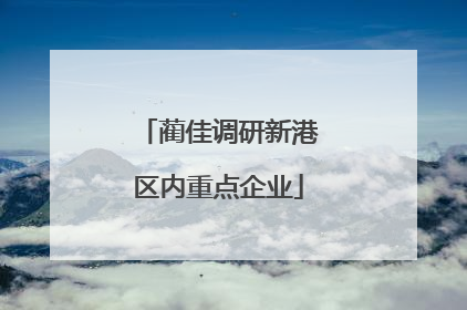 蔺佳调研新港区内重点企业