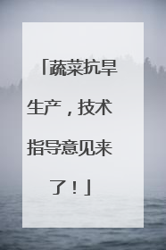 蔬菜抗旱生产，技术指导意见来了！