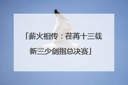 薪火相传：荏苒十三载 新三少剑指总决赛