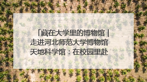藏在大学里的博物馆｜走进河北师范大学博物馆天地科学馆：在校园里赴一场“宇宙之约”