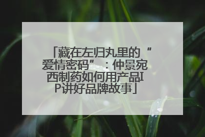 藏在左归丸里的“爱情密码”：仲景宛西制药如何用产品IP讲好品牌故事