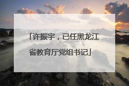 许振宇，已任黑龙江省教育厅党组书记