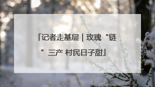 记者走基层｜玫瑰“链”三产 村民日子甜