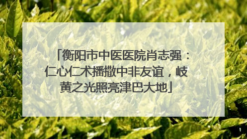 衡阳市中医医院肖志强：仁心仁术播撒中非友谊，岐黄之光照亮津巴大地
