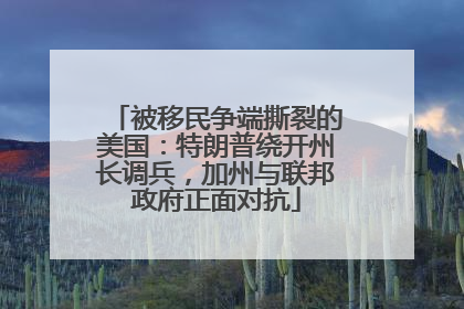 被移民争端撕裂的美国：特朗普绕开州长调兵，加州与联邦政府正面对抗