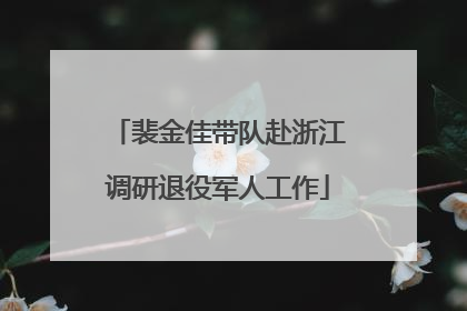 裴金佳带队赴浙江调研退役军人工作