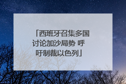 西班牙召集多国讨论加沙局势 呼吁制裁以色列