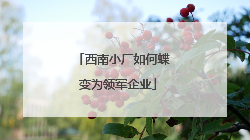 西南小厂如何蝶变为领军企业