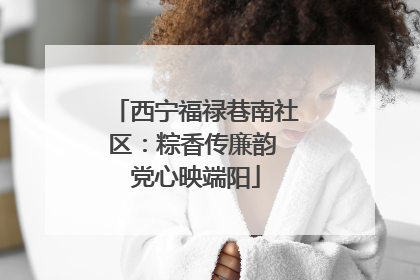 西宁福禄巷南社区：粽香传廉韵 党心映端阳