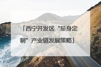 西宁开发区“量身定制”产业链发展策略
