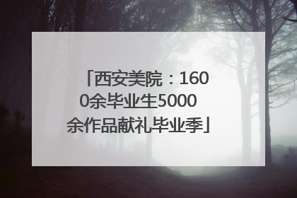 西安美院：1600余毕业生5000余作品献礼毕业季