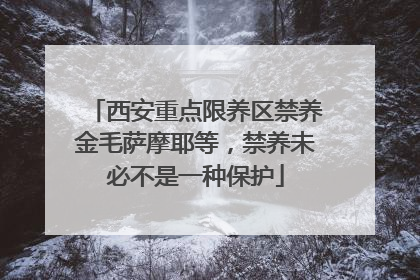西安重点限养区禁养金毛萨摩耶等，禁养未必不是一种保护