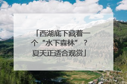 西湖底下藏着一个“水下森林”？夏天正适合观赏