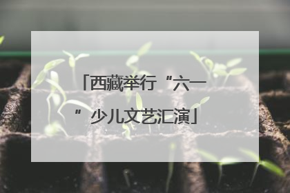 西藏举行“六一”少儿文艺汇演