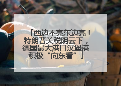 西边不亮东边亮！特朗普关税阴云下，德国最大港口汉堡港积极“向东看”