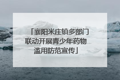 襄阳米庄镇多部门联动开展青少年药物滥用防范宣传