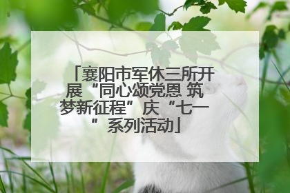 襄阳市军休三所开展“同心颂党恩 筑梦新征程”庆“七一”系列活动