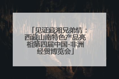 见证藏湘兄弟情：西藏山南特色产品亮相第四届中国-非洲经贸博览会