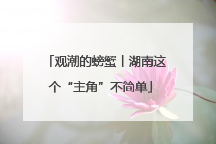 观潮的螃蟹丨湖南这个“主角”不简单