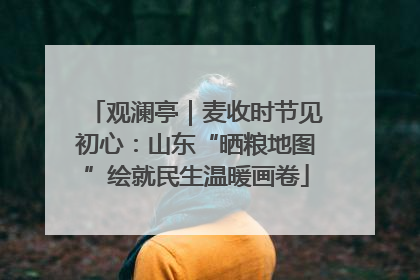 观澜亭｜麦收时节见初心：山东“晒粮地图”绘就民生温暖画卷