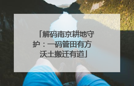 解码南京耕地守护：一码管田有方 沃土搬迁有道