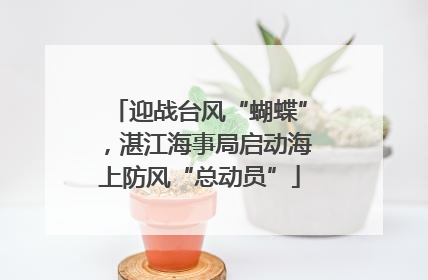 迎战台风“蝴蝶”，湛江海事局启动海上防风“总动员”