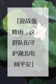 迎战强降雨，这群队伍守护湖北电网平安