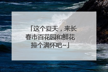 这个夏天，来长春市百花园和鲜花撞个满怀吧~
