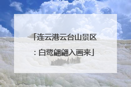 连云港云台山景区：白鹭翩翩入画来
