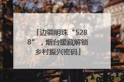 边疆明珠“5288”，烟台援藏解锁乡村振兴密码