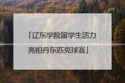 辽东学院留学生活力亮相丹东匹克球赛