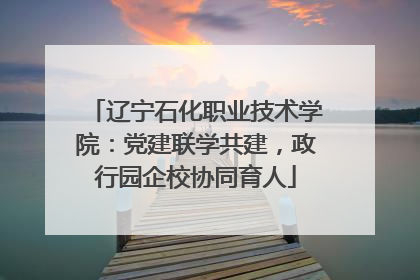 辽宁石化职业技术学院：党建联学共建，政行园企校协同育人
