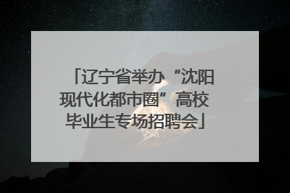 辽宁省举办“沈阳现代化都市圈”高校毕业生专场招聘会