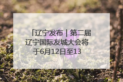 辽宁发布｜第二届辽宁国际友城大会将于6月12日至13日在沈阳举办