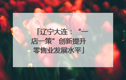 辽宁大连：“一店一策”创新提升零售业发展水平