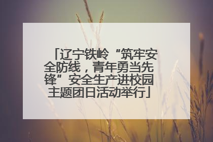 辽宁铁岭“筑牢安全防线，青年勇当先锋”安全生产进校园主题团日活动举行