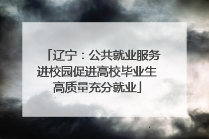辽宁：公共就业服务进校园促进高校毕业生高质量充分就业
