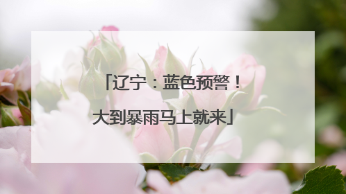 辽宁：蓝色预警！大到暴雨马上就来