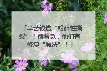 辛苦钱遭“粉碎性撕裂”！别着急，他们有修复“魔法”！