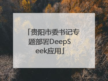 贵阳市委书记专题部署DeepSeek应用