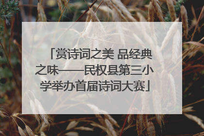 赏诗词之美 品经典之味——民权县第三小学举办首届诗词大赛