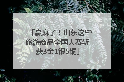 赢麻了！山东这些旅游商品全国大赛斩获3金1银5铜