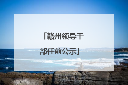 赣州领导干部任前公示