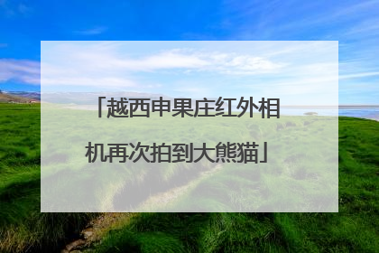 越西申果庄红外相机再次拍到大熊猫