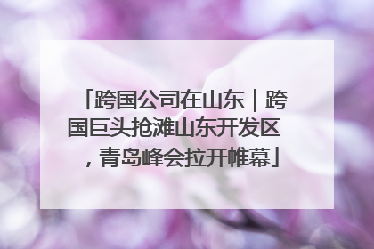 跨国公司在山东｜跨国巨头抢滩山东开发区，青岛峰会拉开帷幕